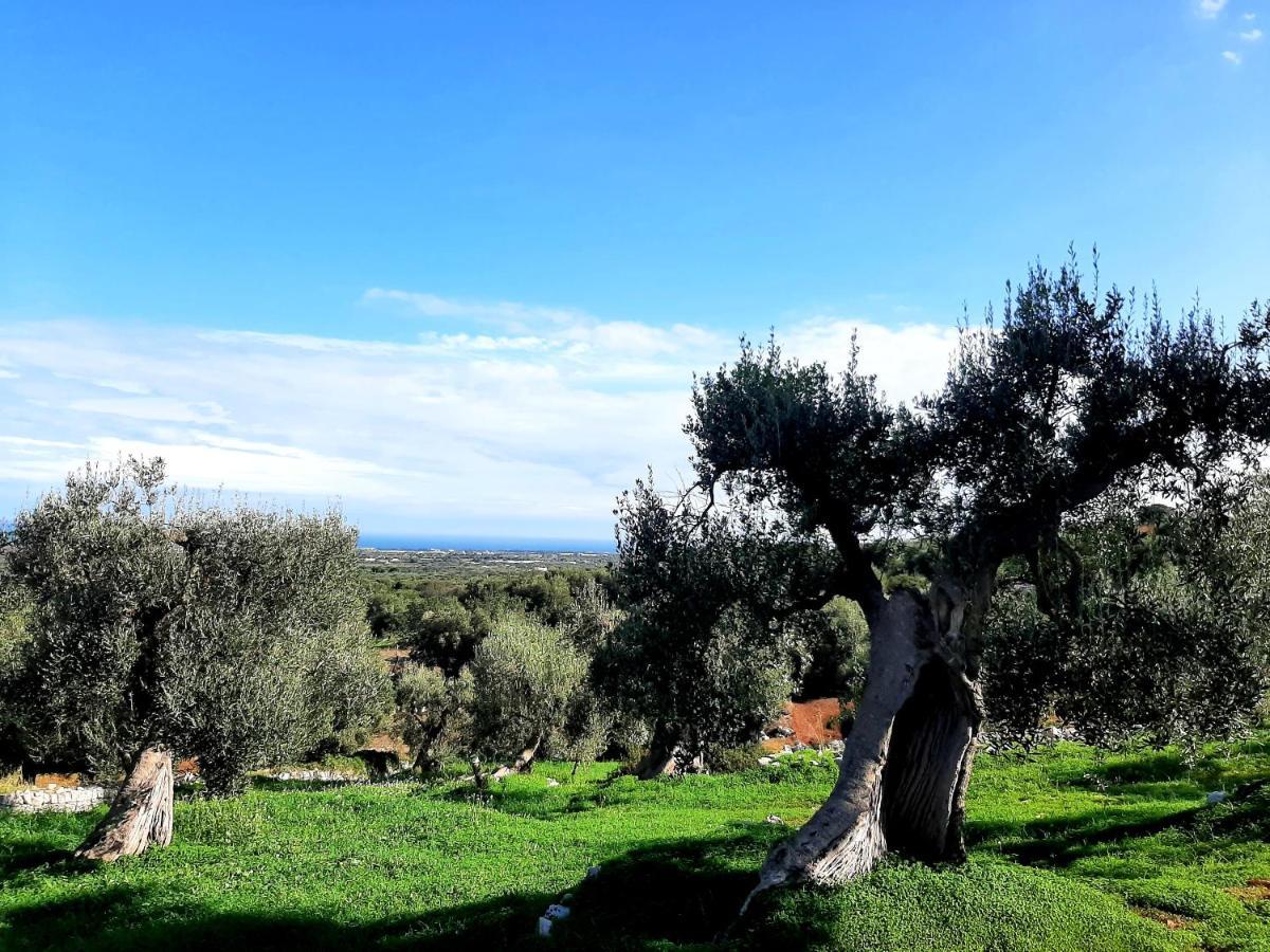 Alla Panoramica Monopoli Extérieur photo