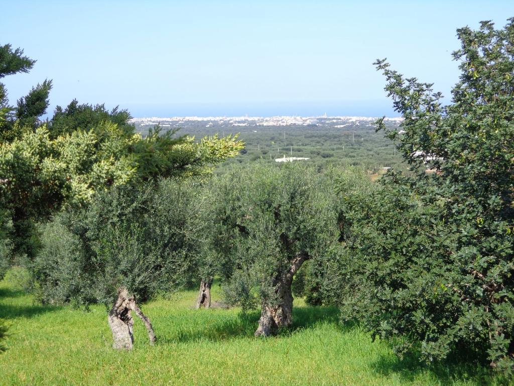 Alla Panoramica Monopoli Extérieur photo